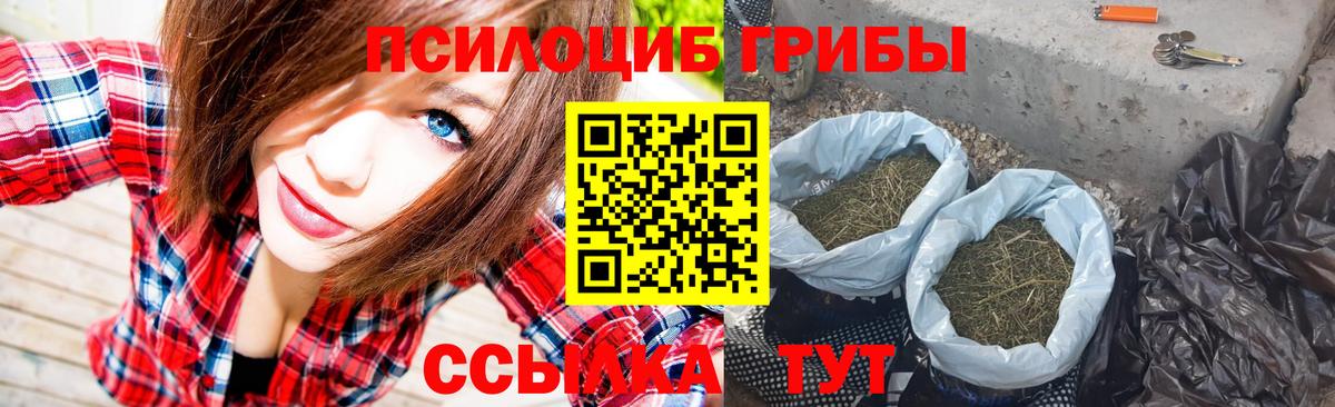 Галлюциногенные грибы Psilocybine cubensis Озёрск