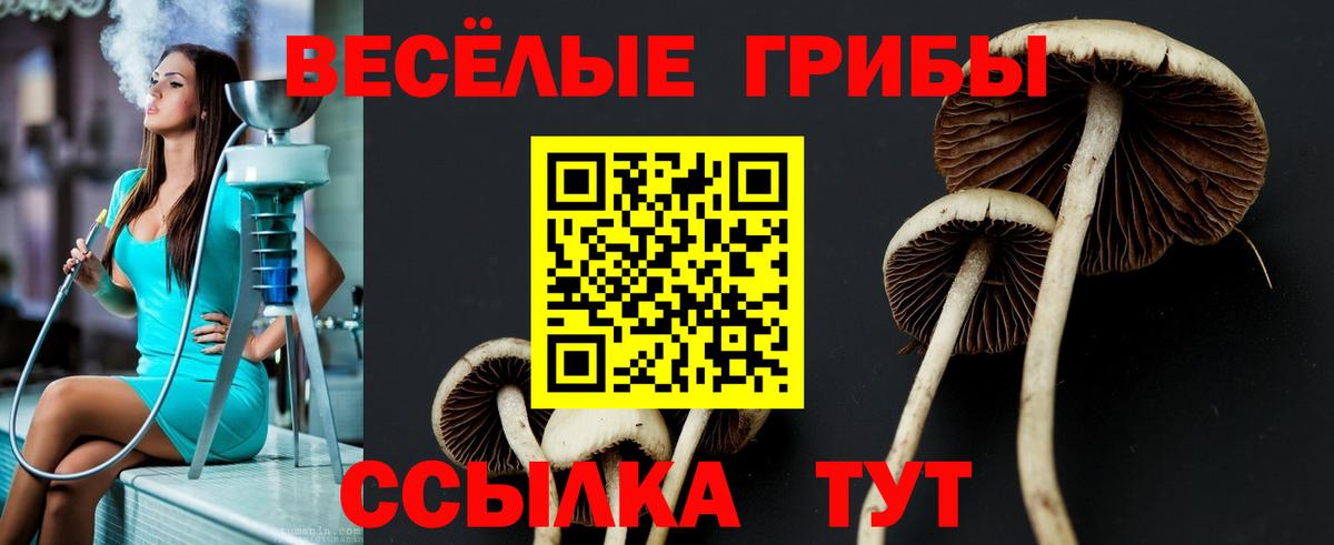 Галлюциногенные грибы мухоморы  Вход с VPN  Озёрск 